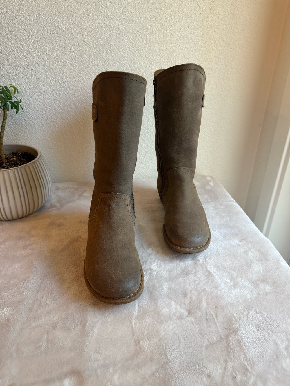 Born Olive-Taupe Suede Mid-Calf Heeled Boots - Picture 13 of 16